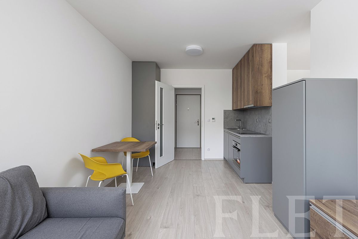 Pronájem bytu 1+kk 38 m²